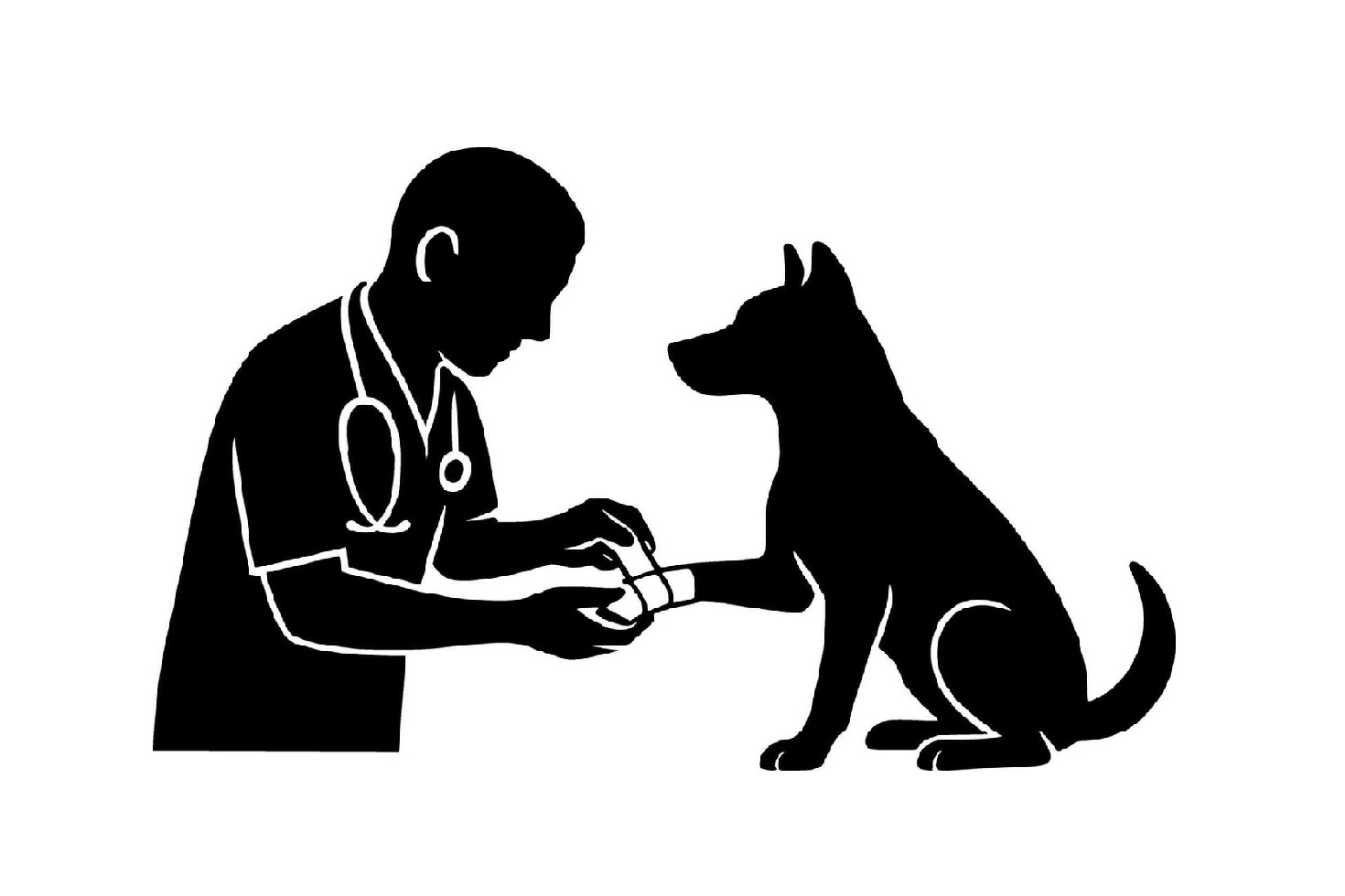 Veterinário